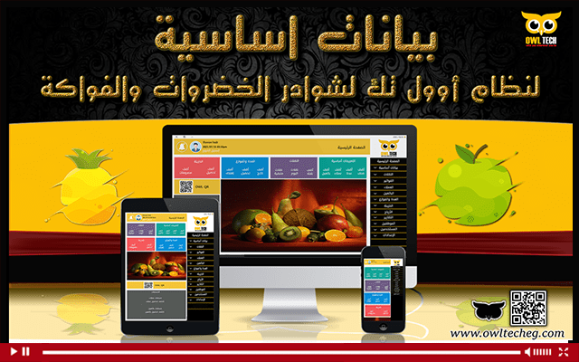 شرح بيانات اساسية